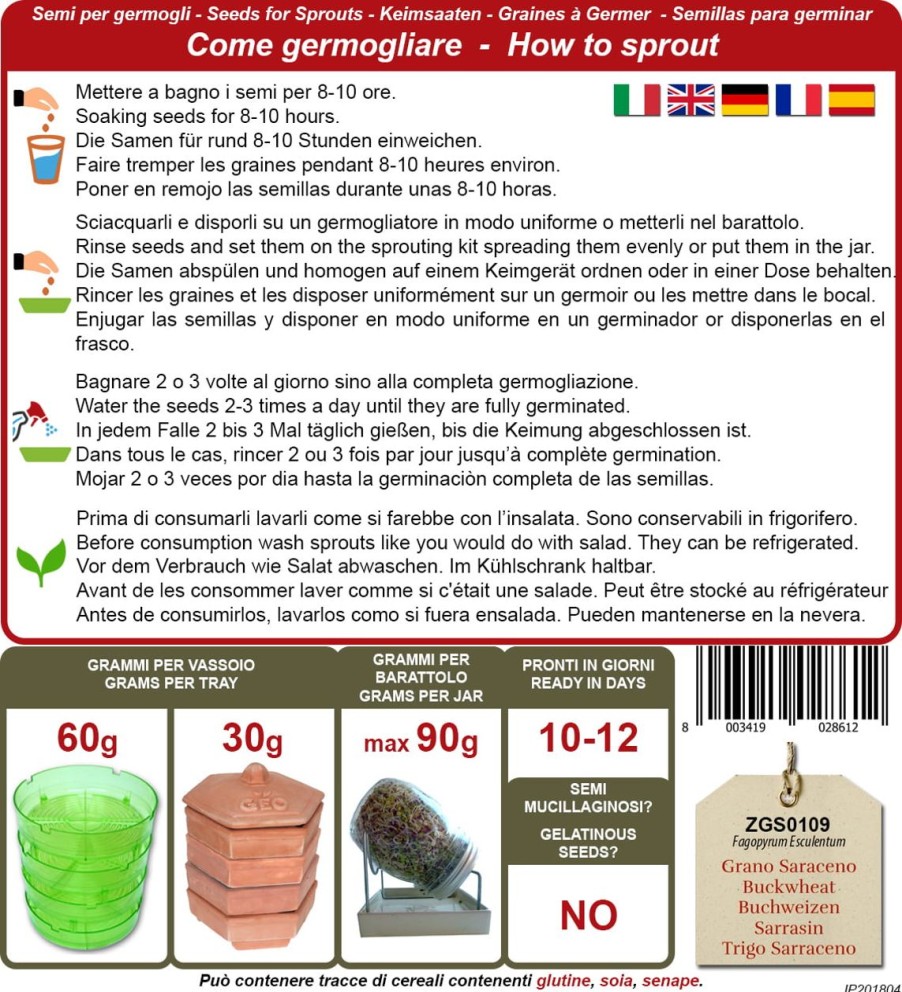 Bavicchi Germogli | Semi Per Germogli Di Grano Saraceno Bio, 90 G