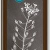 Ölmühle Solling Oli Vegetali | Olio Di Camelina, 500 Ml
